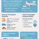 Autopilot Systems